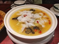 -邵年鸽(杨庄店)