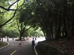 -潜山国家森林公园