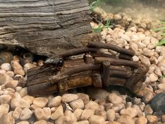 -上海昆虫博物馆