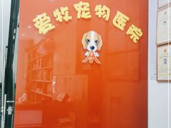 -爱牧宠物医院·猫专科·骨科·内窥镜(甪直店)