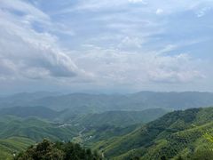 -莫干山风景区