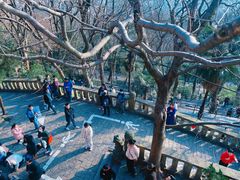 -上海佘山国家森林公园西佘山园