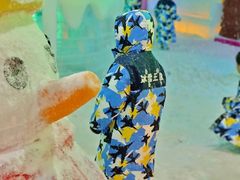 -上海野生动物园