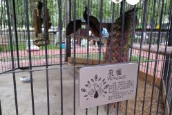 -蓝可可亲子乐园(北苑店)