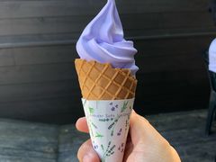 餐饮设施-富田农场