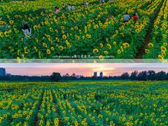 -汉长安城未央宫国家考古遗址公园