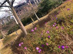 -清远熹乐谷温泉度假酒店
