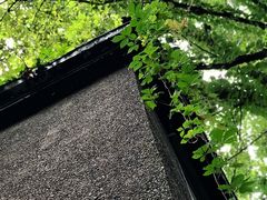 -巴金故居