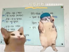 -安宁韩语学院