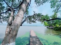 -西昌邛海湿地