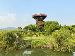 -芒洲湿地公园