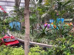 -南宫五洲植物乐园