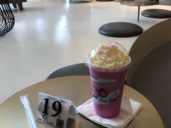-飞行喵MR PILOT|猫舍·猫咖(静安大融城店)