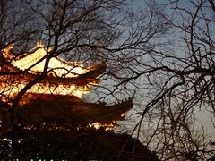 -湖南东洞庭湖国家级自然保护区