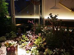 -春树下·树屋花房西餐厅(罍街AS1980店)