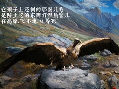-四川大学博物馆