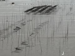 -小皓村