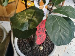 -Cafe on warm(丹霞店)