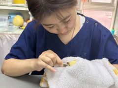 -爱侣宠医·鹦鹉专科·小型哺乳类·异宠专科(灵石路店)