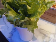 -哈力家·西北烧烤烤串(凤城十路店)