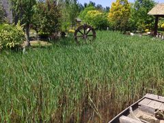 -武清南湖绿博园