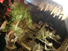 -大匠工房古船木艺术餐厅·猪肚鸡专门店(长白仙岛店)
