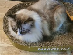 -白兔子密室(长寿路店)