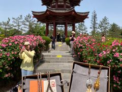 -大慈恩寺(大雁塔)