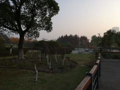 -尚贤河湿地