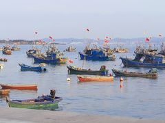 -海源公园