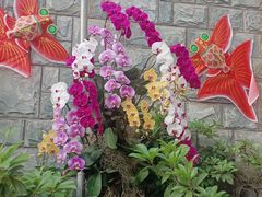 -北京植物园-展览温室