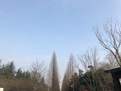 -昆山城市生态森林公园