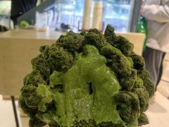 -鹤茶野所(上海首店)
