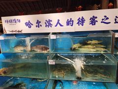 -胖姐渔村(中源大道店)