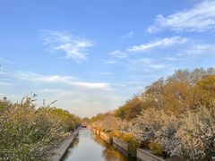 -元大都城垣遗址公园