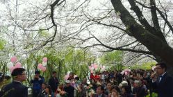 -晴川假日酒店·宴会厅·会议厅