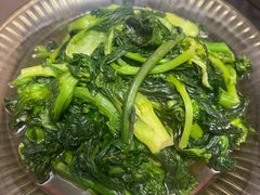 -上海佘山国家森林公园西佘山园