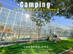-甜心庄园·甜心草莓采摘园(西青中北店)