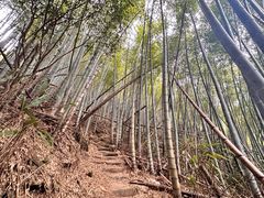 -雁荡山风景名胜区