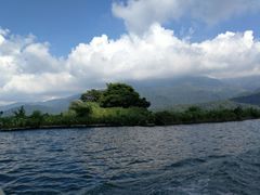 -金盆阿嬷香菇茶叶蛋(玄光店)