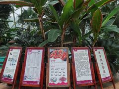 -麦积山温泉