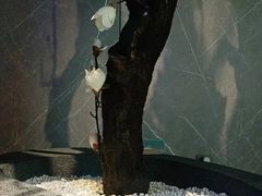-仟汇足道·SPA(秀洲总店)