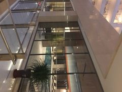 -海豚之星游泳俱乐部(喜来登馆)