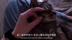 -凡碧诗毛孔清洁收细