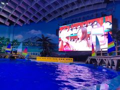 -海合安武汉极地海洋公园