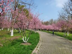 -上海海湾国家森林公园