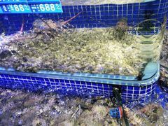 -青蓬蒸汽海鲜·深圳老字号·团建聚会(壹方城店)