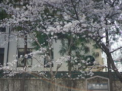 -鸡鸣寺