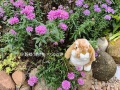 -济南植物园