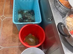 -8号蒸饺精品炖鸽子(康特商街店)